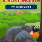 CBSE Class 4 EVS A Busy Month Worksheet with Solutions