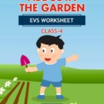 CBSE Class 4 EVS About In The Garden Worksheet with Solutions