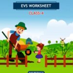 CBSE Class 4 EVS Basva's Farm Worksheet with Solutions
