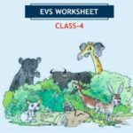 CBSE Class 4 EVS Ear to Ear Worksheet with Solutions
