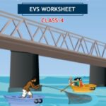 CBSE Class 4 EVS From The Window Worksheet with Solutions