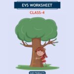 CBSE Class 4 EVS The Story of Amrita Worksheet with Solutions