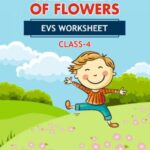 CBSE Class 4 EVS The Valley of Flowers Worksheet with Solutions