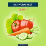 Class 1 EVS Food Worksheet with Solution