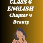 CBSE Class 6 Beauty Worksheets