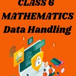 CBSE Class 6 Chapter 9 Data handling Worksheets