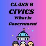 CBSE Class 6 Civics Chapter 3 What is Government Worksheets
