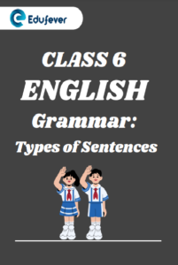 CBSE Class 6 English Grammar Types of Sentences Worksheets