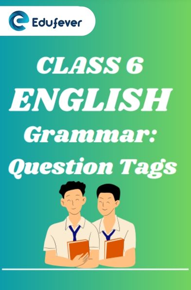CBSE Class 6 English Grammar Question Tags Worksheets