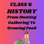 CBSE Class 6 History Chapter 2 From Hunting Gathering To Growing Food Worksheets