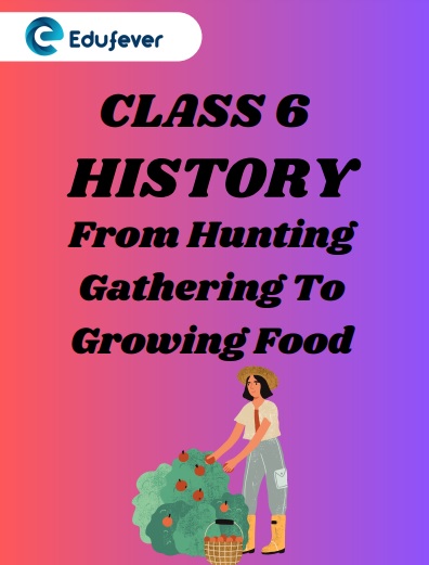 CBSE Class 6 History Chapter 2 From Hunting Gathering To Growing Food Worksheets