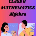 CBSE Class 6 Maths Chapter 11 Algebra Worksheets