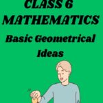 CBSE Class 6 Maths Chapter 4 Basic Geometrical Ideas Worksheets