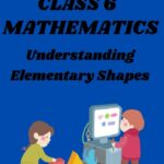 CBSE Class 6 Maths Understanding Elementary Shapes Worksheets