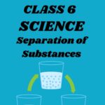 CBSE Class 6 Science Separation of Substances Worksheets