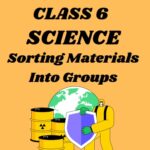 CBSE Class 6 Science Sorting Materials Into Groups Worksheets