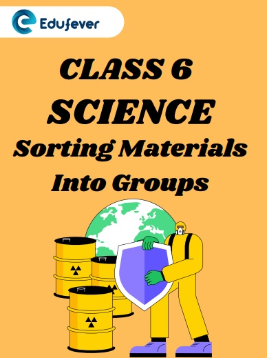 CBSE Class 6 Science Sorting Materials Into Groups Worksheets