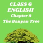 CBSE Class 6 The Banyan Tree worksheets