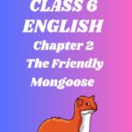 CBSE Class 6 The Friendly Mongoose Worksheets
