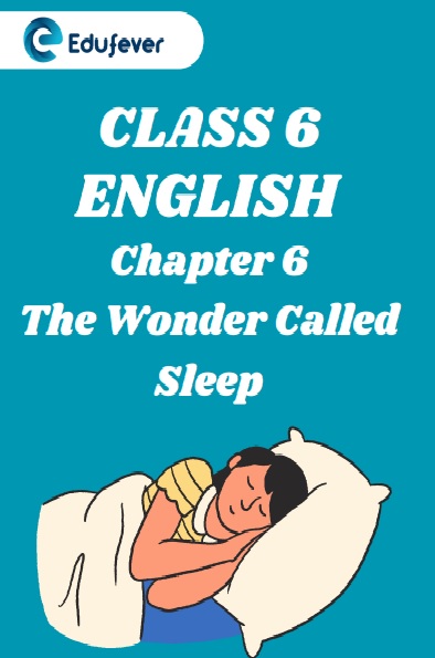 CBSE Class 6 The Wonder Called Sleep Worksheets