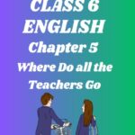 CBSE Class 6 Where Do all the Teachers Go Worksheets