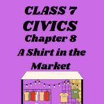 CBSE Class 7 Civics Chapter 8 A Shirt in the Market Worksheet