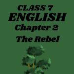CBSE Class 7 English Chapter 2 The Rebel Worksheets