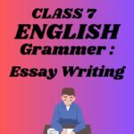 CBSE Class 7 English Chapter 3 Essay writing worksheets