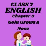 CBSE Class 7 English Chapter 3 Golu Grows a Nose Worksheets