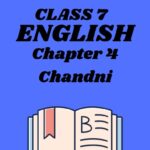 CBSE Class 7 English Chapter 4 Chandni Worksheets