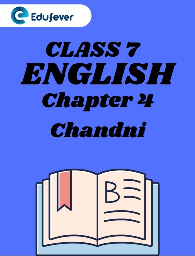 CBSE Class 7 English Chapter 4 Chandni Worksheets