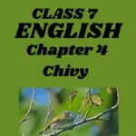 CBSE Class 7 English Chapter 4 Chivy Worksheets