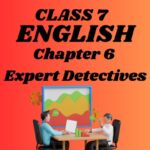 CBSE Class 7 English Chapter 6 Expert Detectives Worksheet