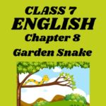 CBSE Class 7 English Chapter 8 Garden Snake Worksheets