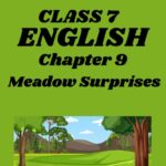 CBSE Class 7 English Chapter 9 Meadow Surprises Worksheets