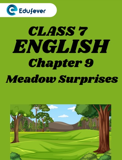 CBSE Class 7 English Chapter 9 Meadow Surprises Worksheets