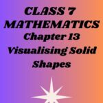 CBSE Class 7 Maths Chapter 13 Visualising Solid Shapes Worksheet