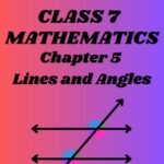 CBSE Class 7 Maths Chapter 5 Lines and Angles Worksheet