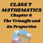 CBSE Class 7 Maths Chapter 6 The Triangles and its Properties Worksheet