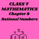 CBSE Class 7 Maths Chapter 8 Rational Numbers Worksheet