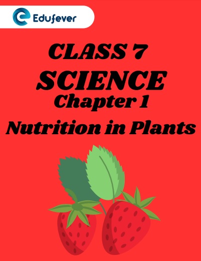 CBSE Class 7 Science Chapter 1 Nutrition in Plants Worksheet