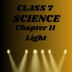 CBSE Class 7 Science Chapter 11 Light Worksheet