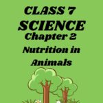 CBSE Class 7 Science Chapter 2 Nutrition in Animals Worksheet