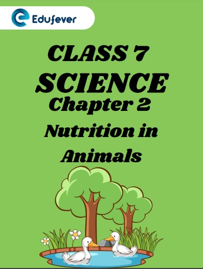 CBSE Class 7 Science Chapter 2 Nutrition in Animals Worksheet
