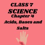 CBSE Class 7 Science Chapter 4 Acids, Bases and Salts Worksheet