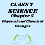 CBSE Class 7 Science Chapter 5 Physical and Chemical Changes Worksheet