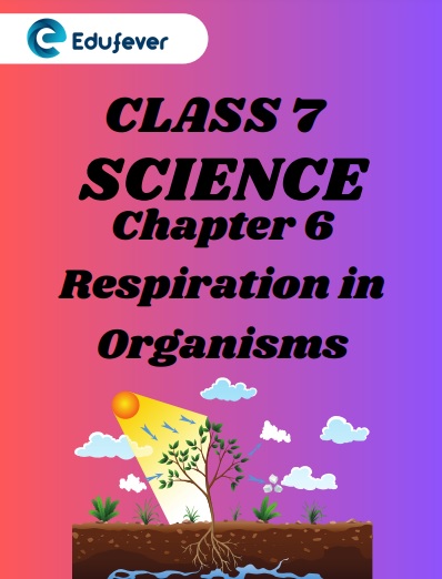 CBSE Class 7 Science Chapter 6 Respiration in Organisms Worksheet