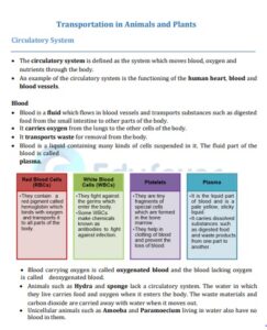 Class 7 Science Chapter 7 Transportation in Animals and Plants