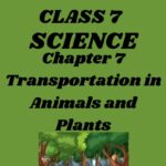 CBSE Class 7 Science Chapter 7 Transportation in Animals and Plants Worksheet