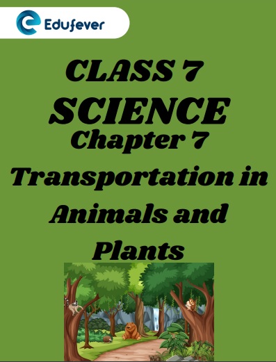 CBSE Class 7 Science Chapter 7 Transportation in Animals and Plants Worksheet